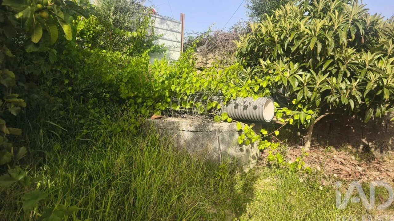 Terreno para Venda em Seixo da Beira Foto 28