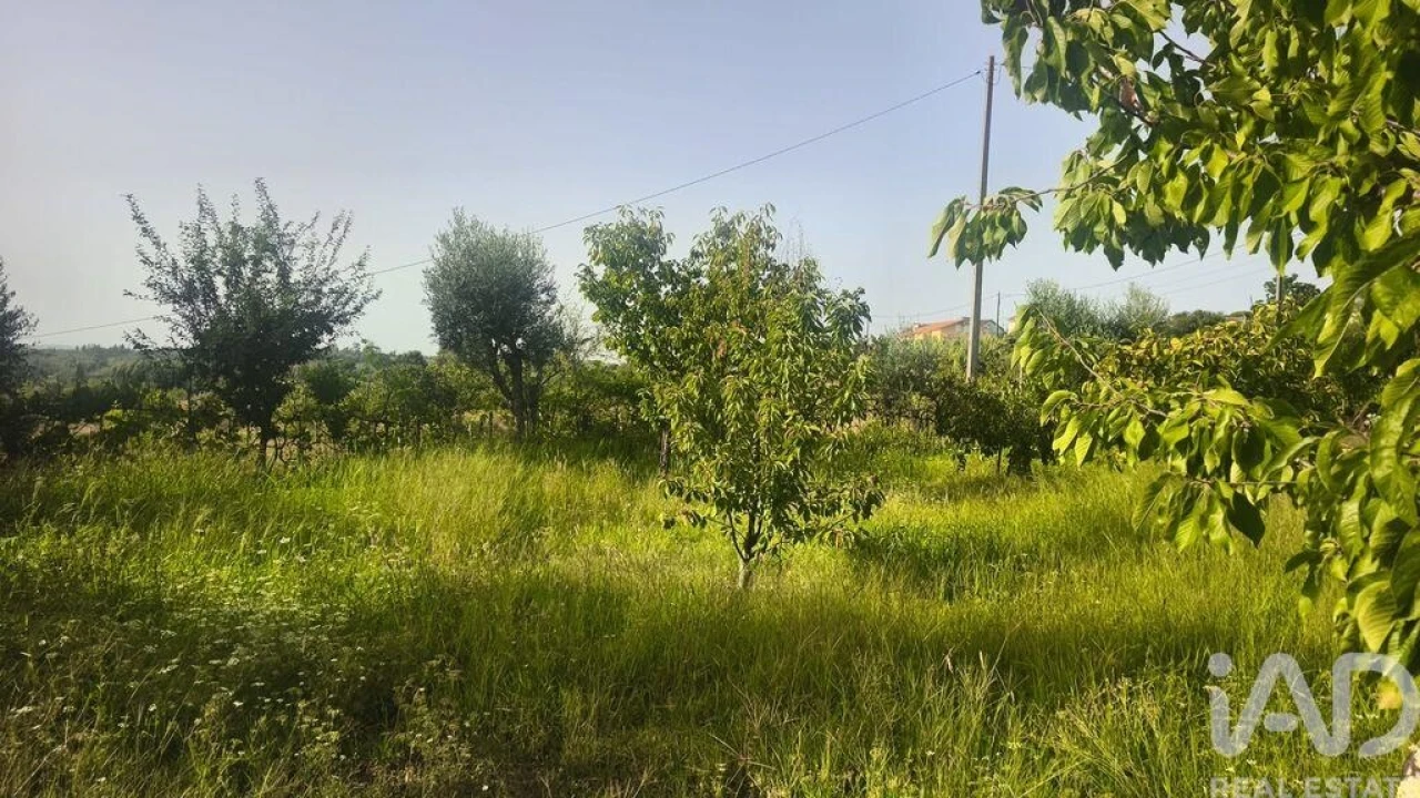 Terreno para Venda em Seixo da Beira Foto 9