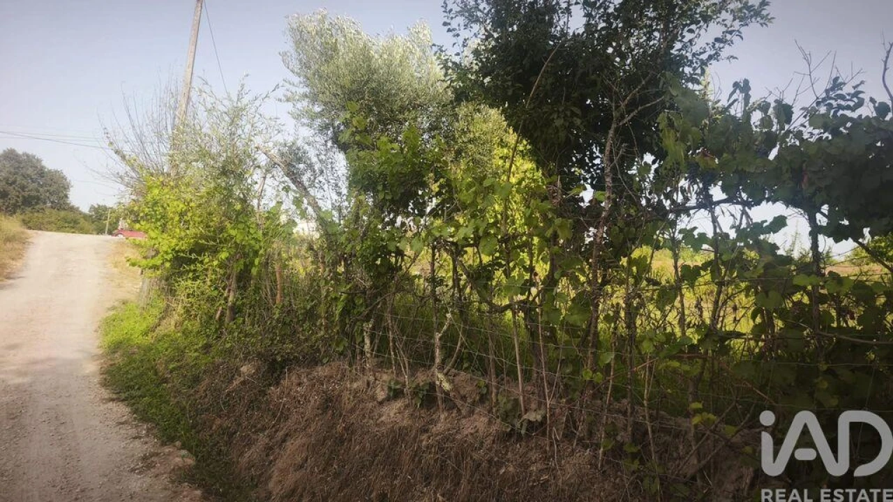 Terreno para Venda em Seixo da Beira Foto 29