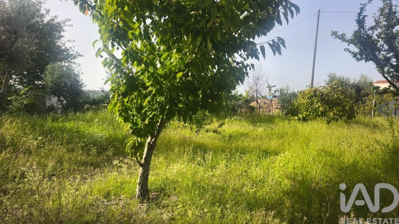 Terreno para Venda em Seixo da Beira Foto 5