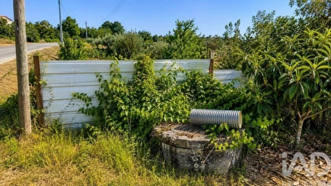 Terreno para Venda em Seixo da Beira