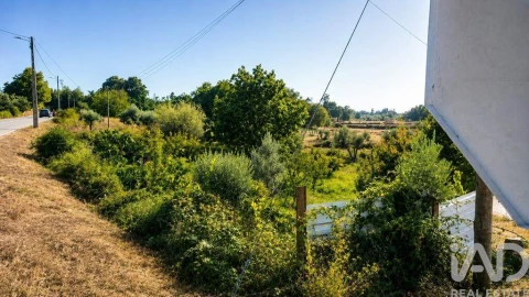 Terreno para Venda em Seixo da Beira