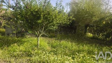 Terreno para Venda em Seixo da Beira