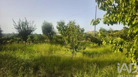 Terreno para Venda em Seixo da Beira