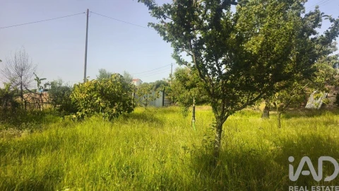 Terreno para Venda em Seixo da Beira