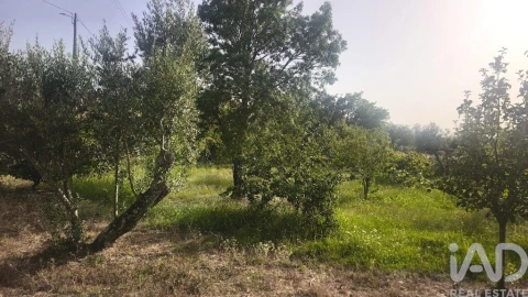 Terreno para Venda em Seixo da Beira