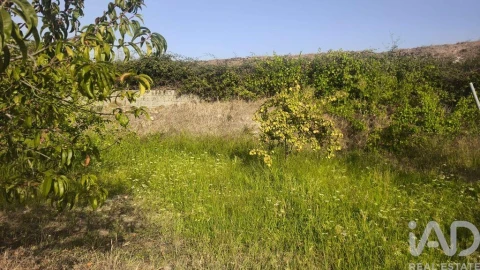 Terreno para Venda em Seixo da Beira
