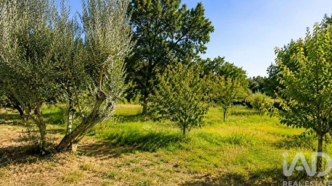 Terreno para Venda em Seixo da Beira