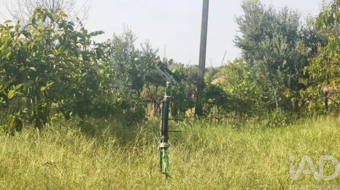 Terreno para Venda em Seixo da Beira