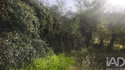 Terreno para Venda em Seixo da Beira