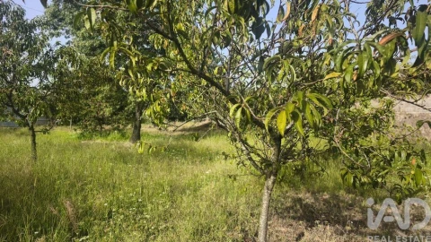 Terreno para Venda em Seixo da Beira
