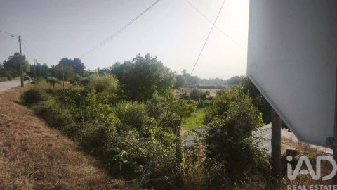 Terreno para Venda em Seixo da Beira