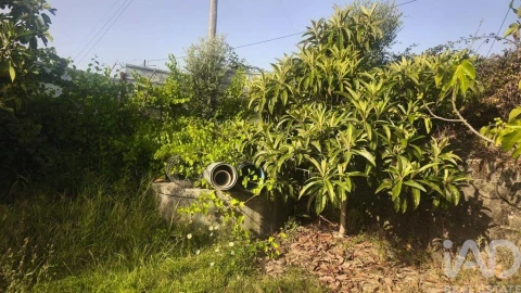 Terreno para Venda em Seixo da Beira
