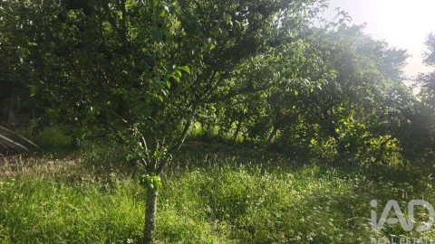 Terreno para Venda em Seixo da Beira