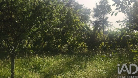 Terreno para Venda em Seixo da Beira