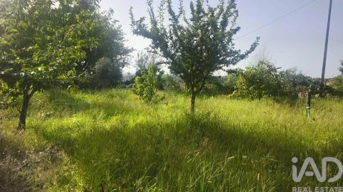 Terreno para Venda em Seixo da Beira