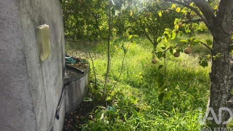 Terreno para Venda em Seixo da Beira
