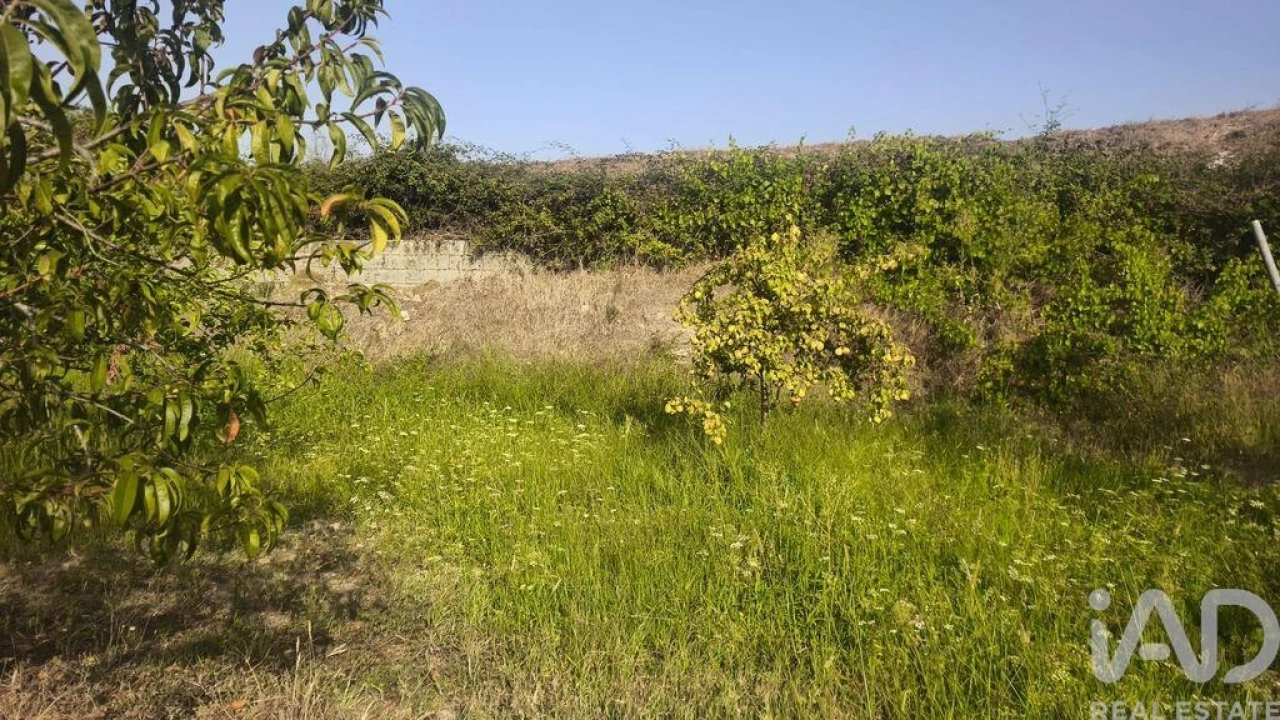Terreno para Venda em Seixo da Beira Foto 20