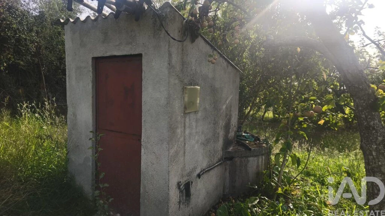 Terreno para Venda em Seixo da Beira Foto 12