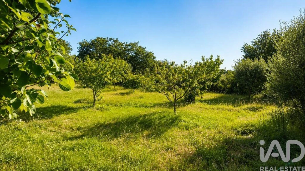 Terreno para Venda em Seixo da Beira Foto 33