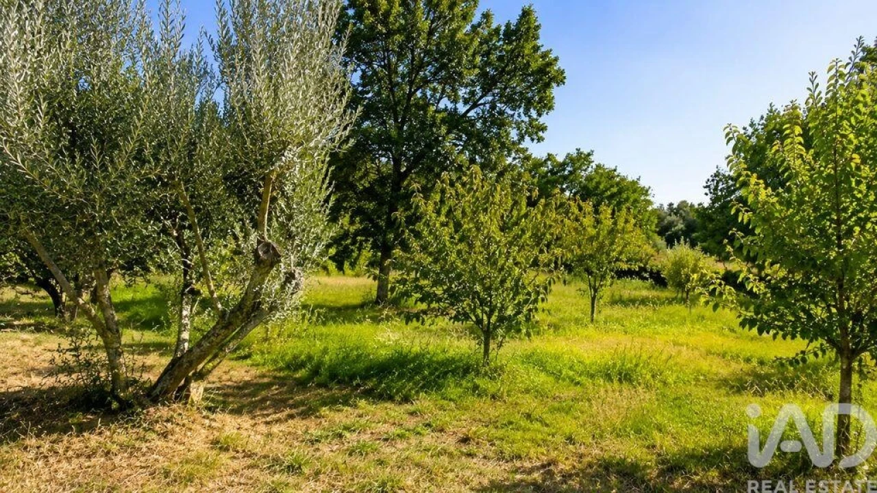Terreno para Venda em Seixo da Beira Foto 7