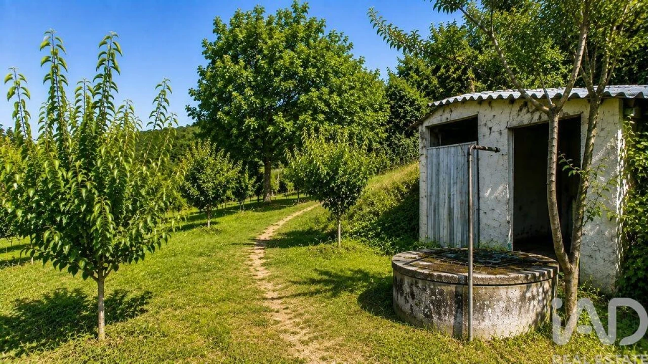 Terreno para Venda em Seixo da Beira Foto 1