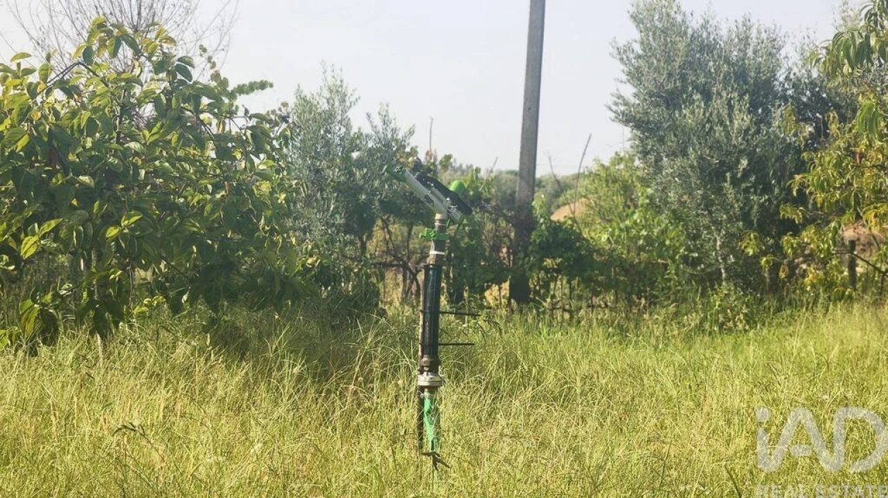 Terreno para Venda em Seixo da Beira Foto 22