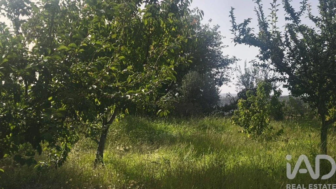 Terreno para Venda em Seixo da Beira Foto 8