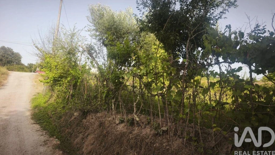 Terreno para Venda em Seixo da Beira Foto 29