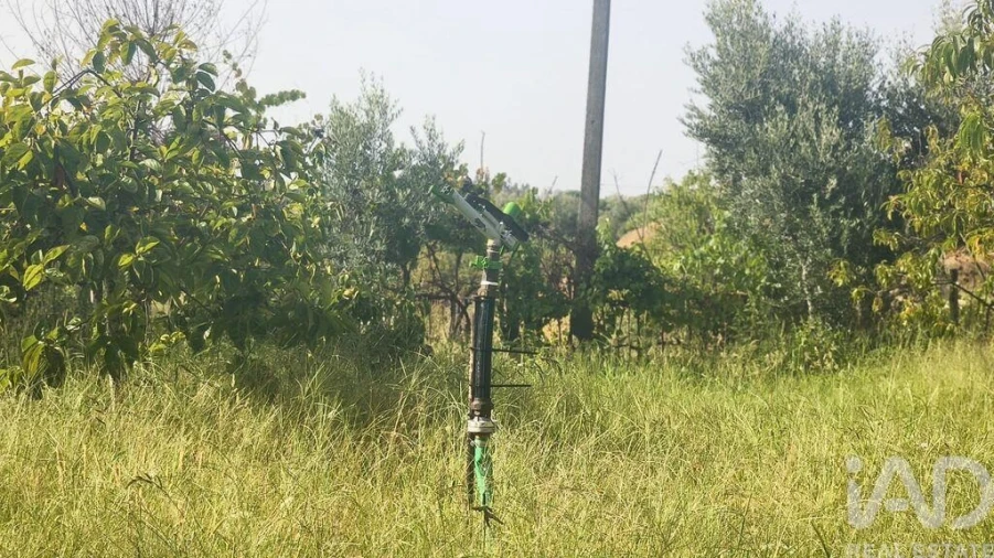 Terreno para Venda em Seixo da Beira Foto 22