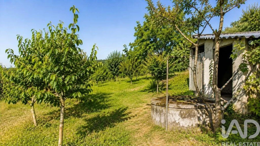 Terreno para Venda em Seixo da Beira Foto 39