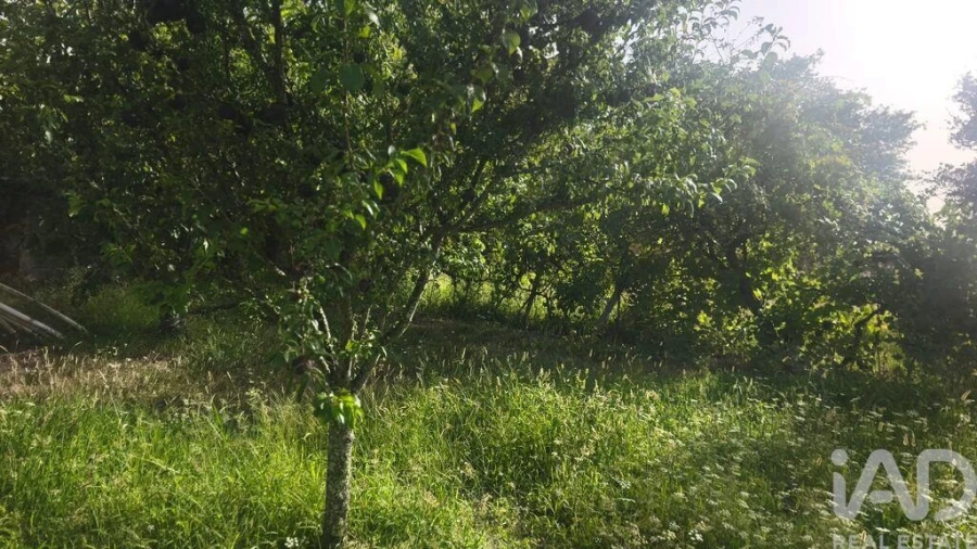 Terreno para Venda em Seixo da Beira Foto 27