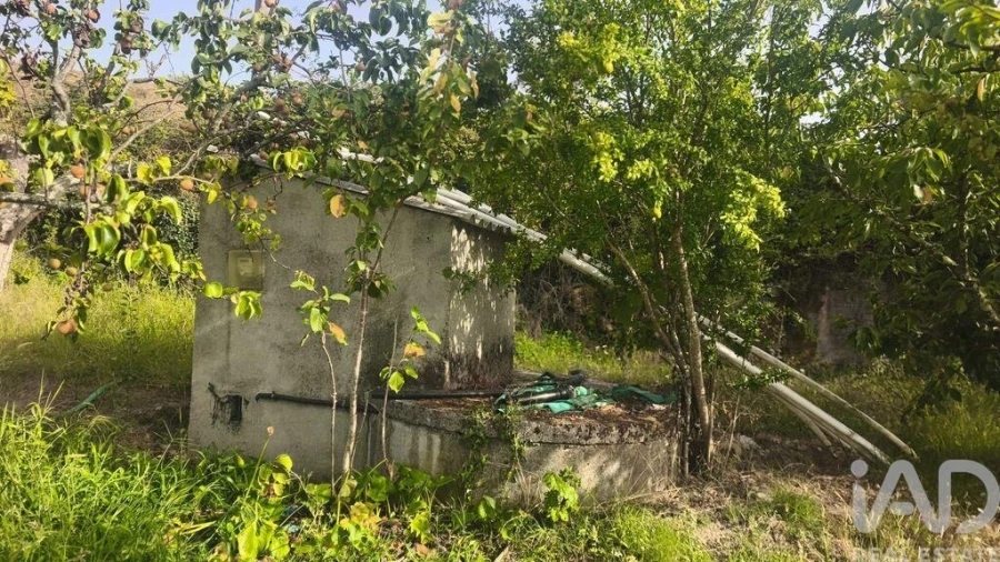 Terreno para Venda em Seixo da Beira Foto 19