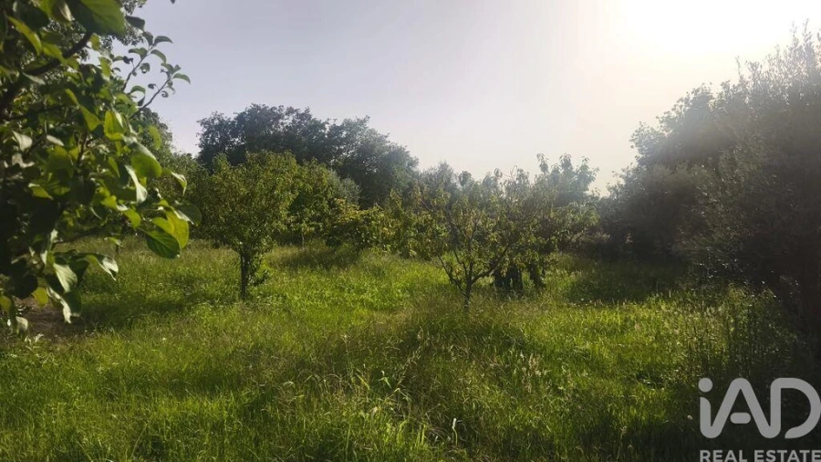 Terreno para Venda em Seixo da Beira Foto 35