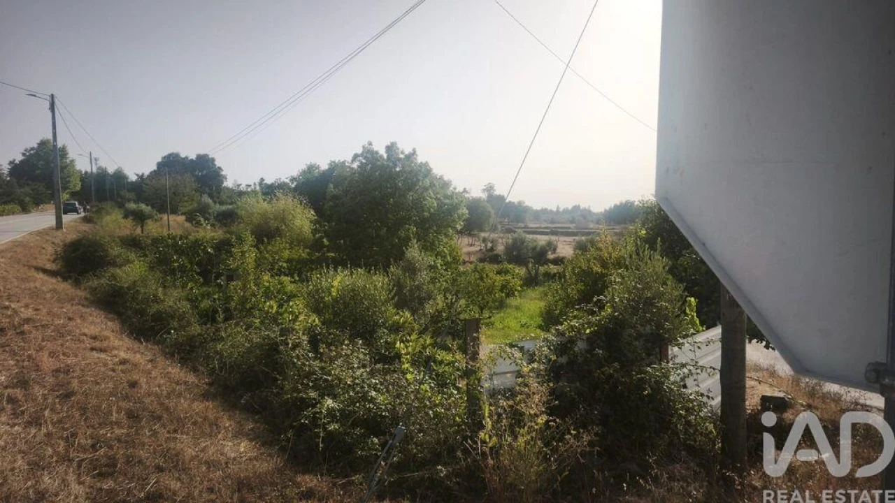 Terreno para Venda em Seixo da Beira Foto 13
