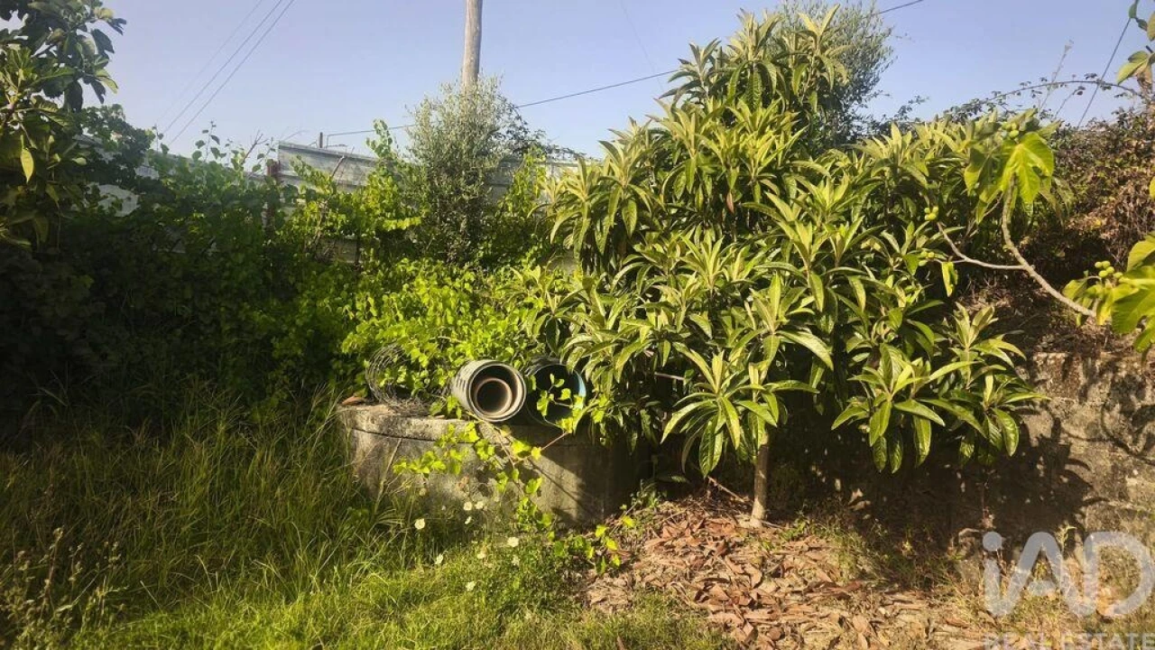 Terreno para Venda em Seixo da Beira Foto 11