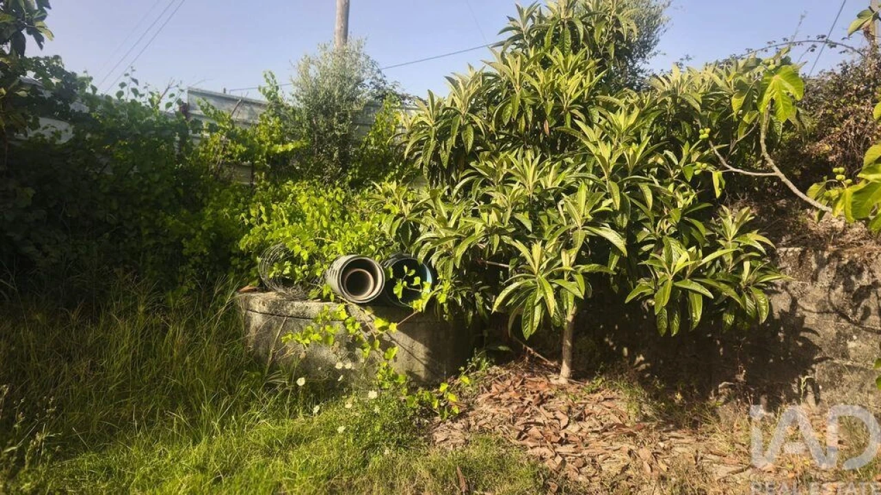Terreno para Venda em Seixo da Beira Foto 31