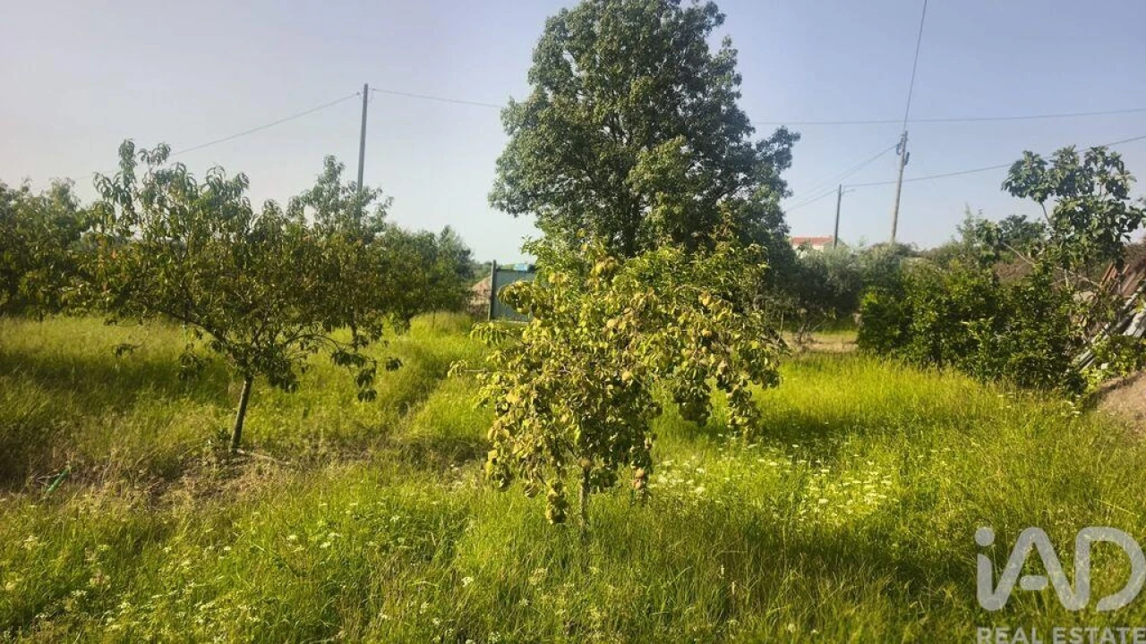 Terreno para Venda em Seixo da Beira Foto 3