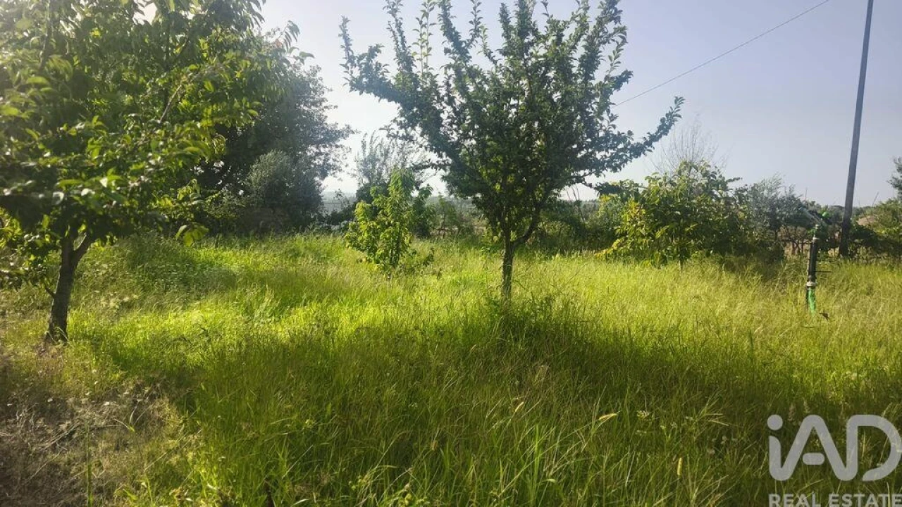 Terreno para Venda em Seixo da Beira Foto 18