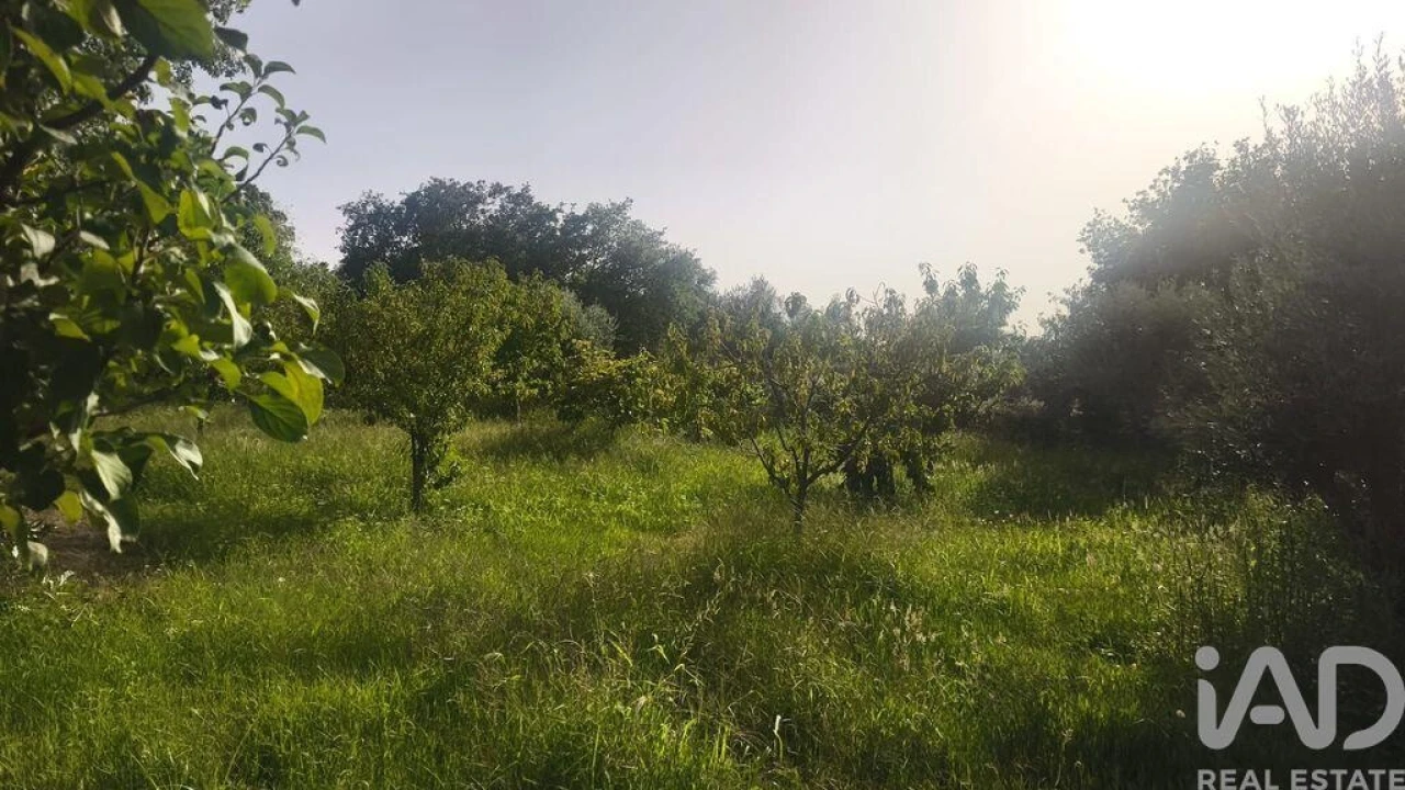 Terreno para Venda em Seixo da Beira Foto 35