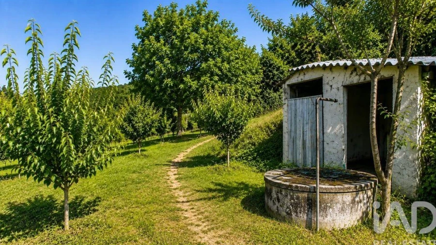 Terreno para Venda em Seixo da Beira