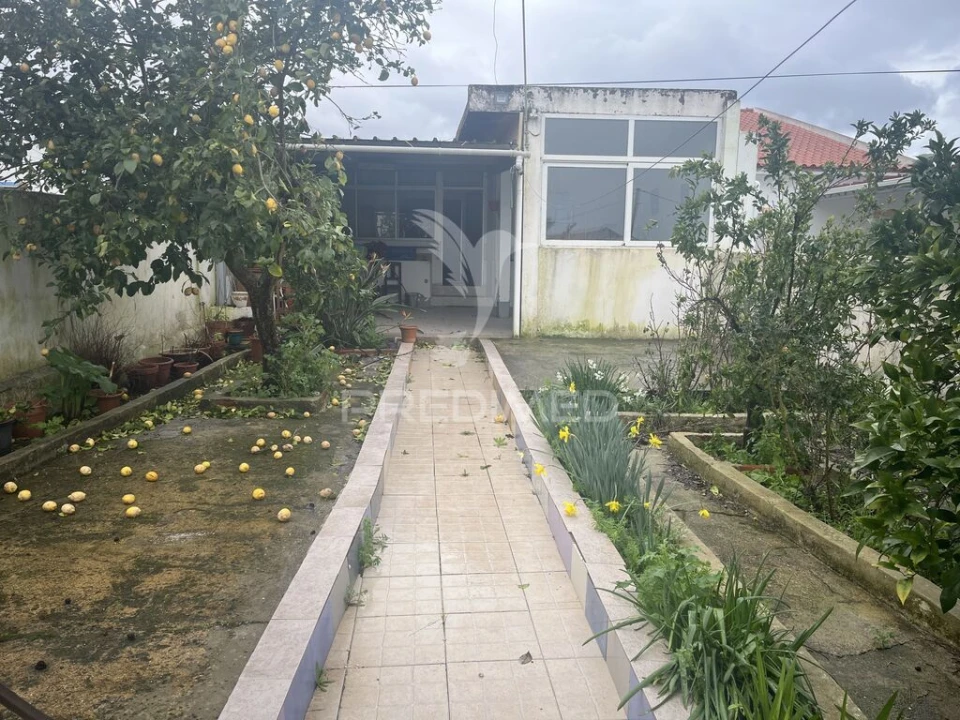 Moradia T2 para Venda em Alfundão e Peroguarda Foto 15