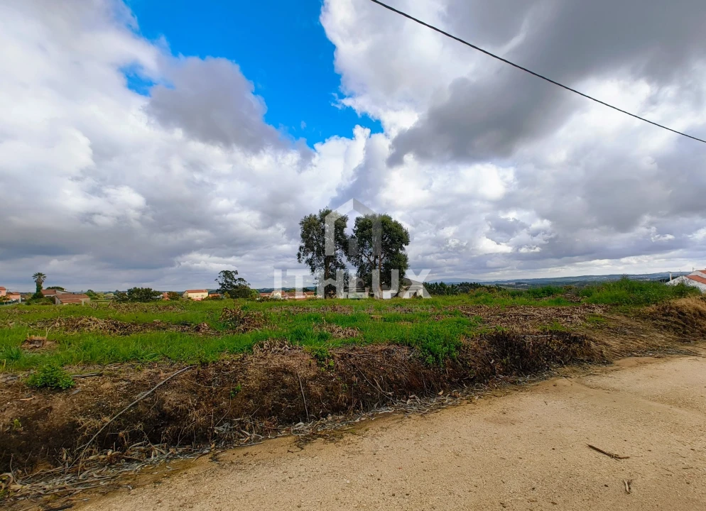 Terreno Agricola ou Rústico para Venda em Salir de Matos Foto 16