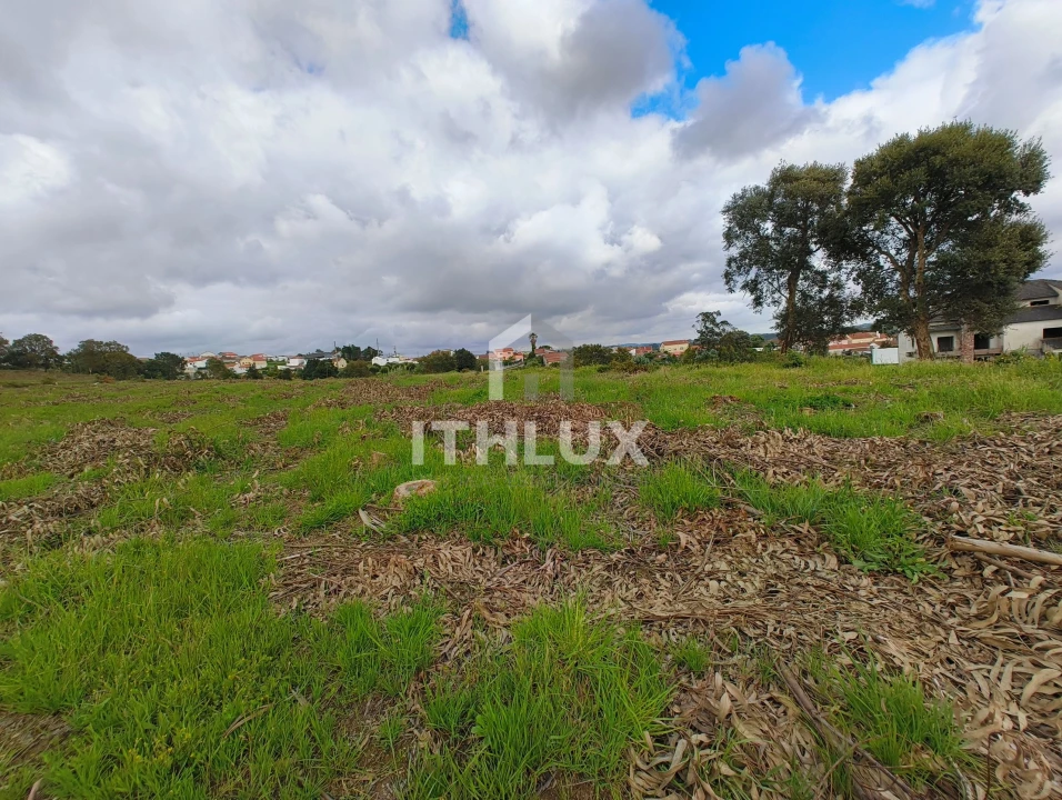 Terreno Agricola ou Rústico para Venda em Salir de Matos Foto 1