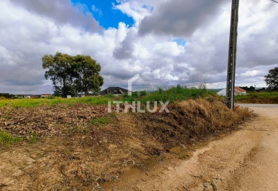 Terreno Agricola ou Rústico para Venda em Salir de Matos