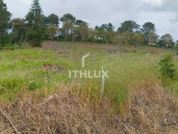 Terreno Agricola ou Rústico para Venda em Salir de Matos