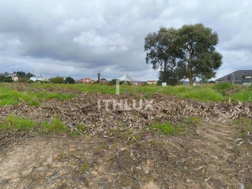 Terreno Agricola ou Rústico para Venda em Salir de Matos