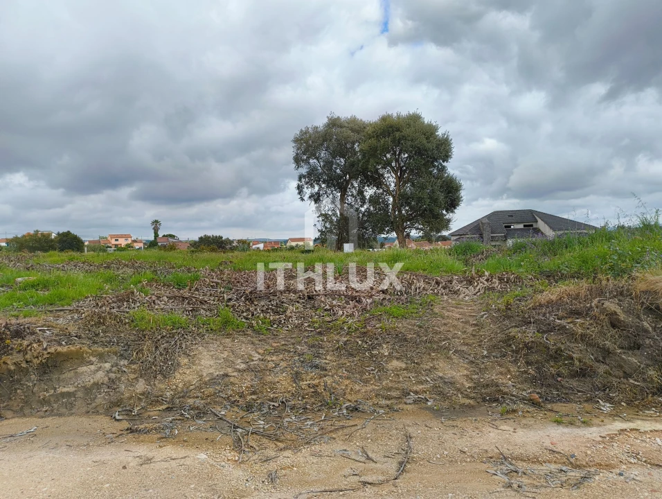 Terreno Agricola ou Rústico para Venda em Salir de Matos Foto 6