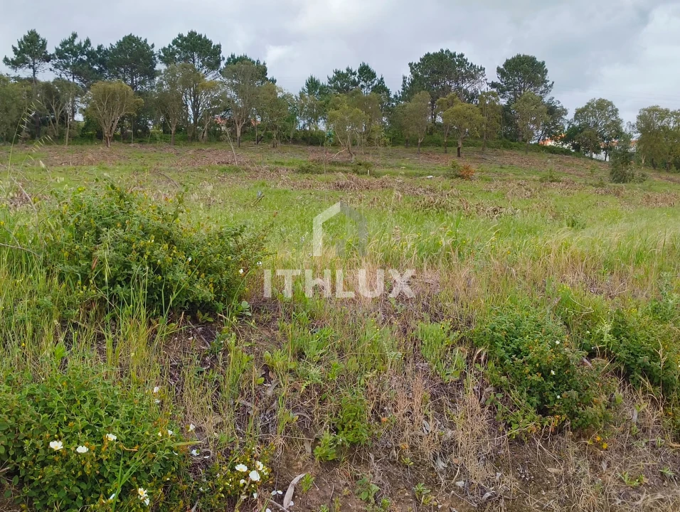 Terreno Agricola ou Rústico para Venda em Salir de Matos Foto 18