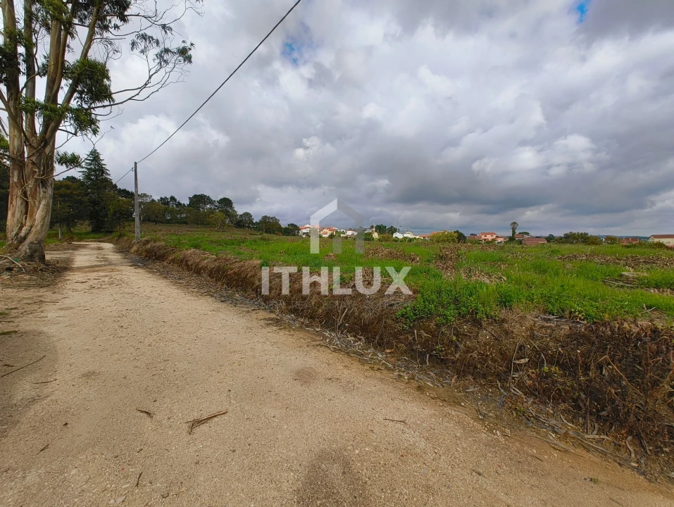 Terreno Agricola ou Rústico para Venda em Salir de Matos Foto 15